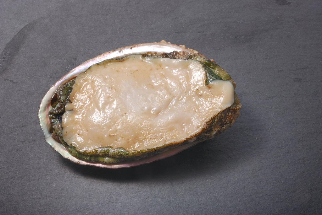 Abalone Sauce