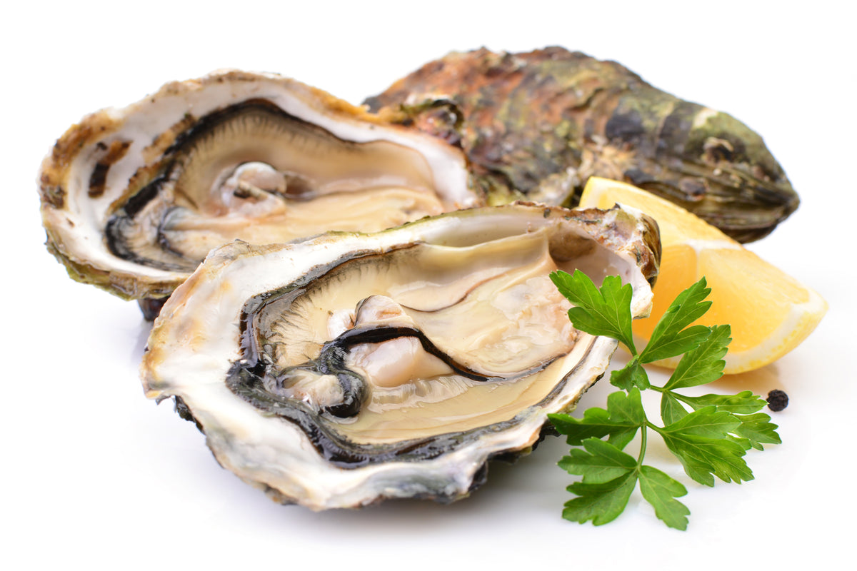 > Buy Oysters Online in Singapore Seaco Online