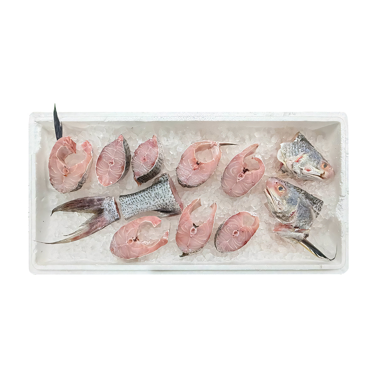 Whole Fresh Threadfin