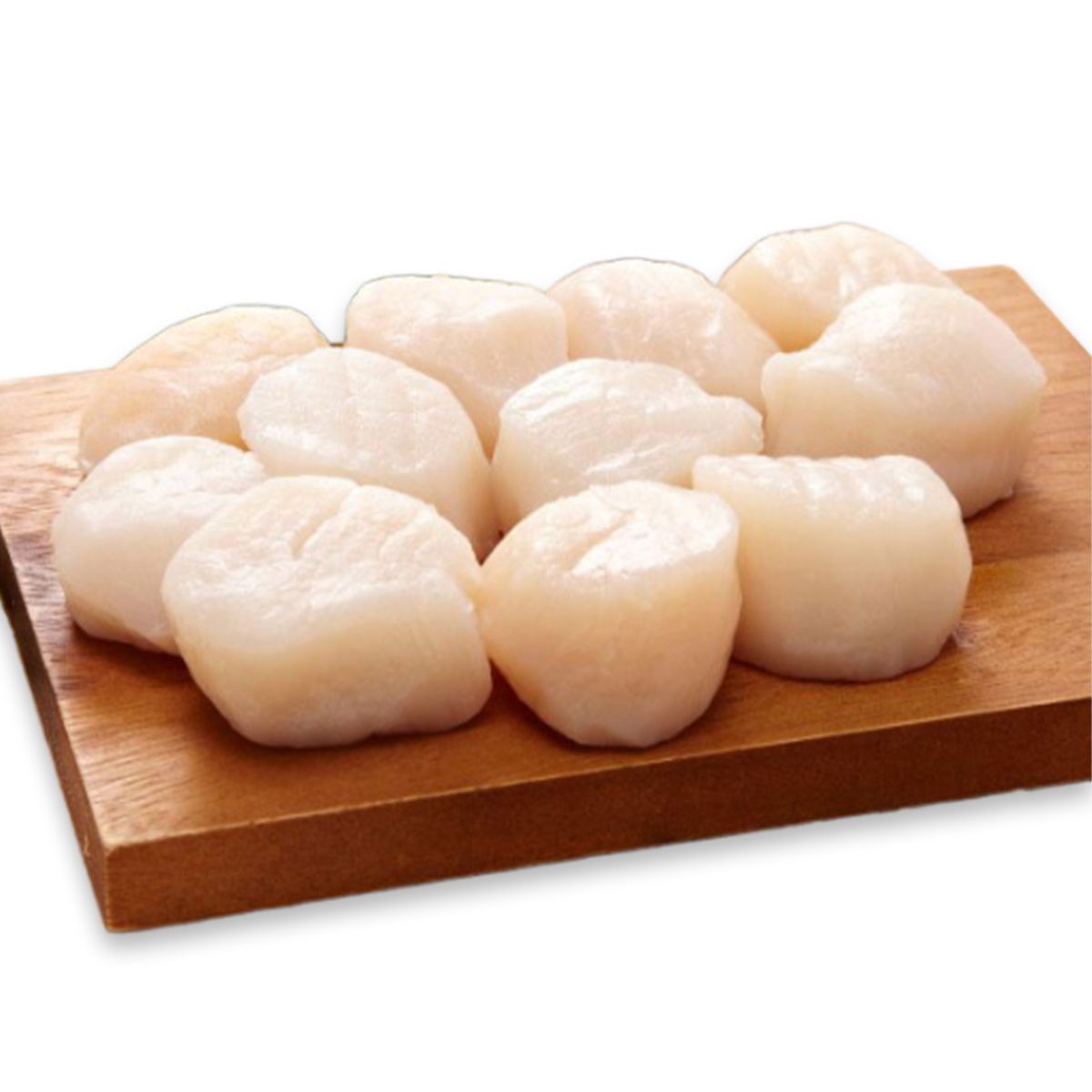 Wild Caught Jumbo Size French Scallop Meat