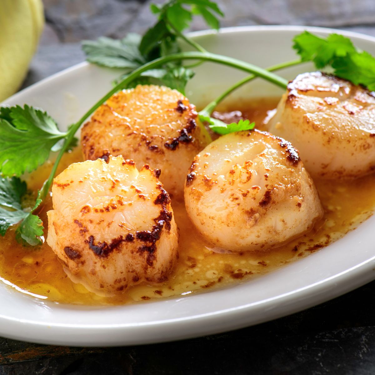 Wild Caught Jumbo Size French Scallop Meat