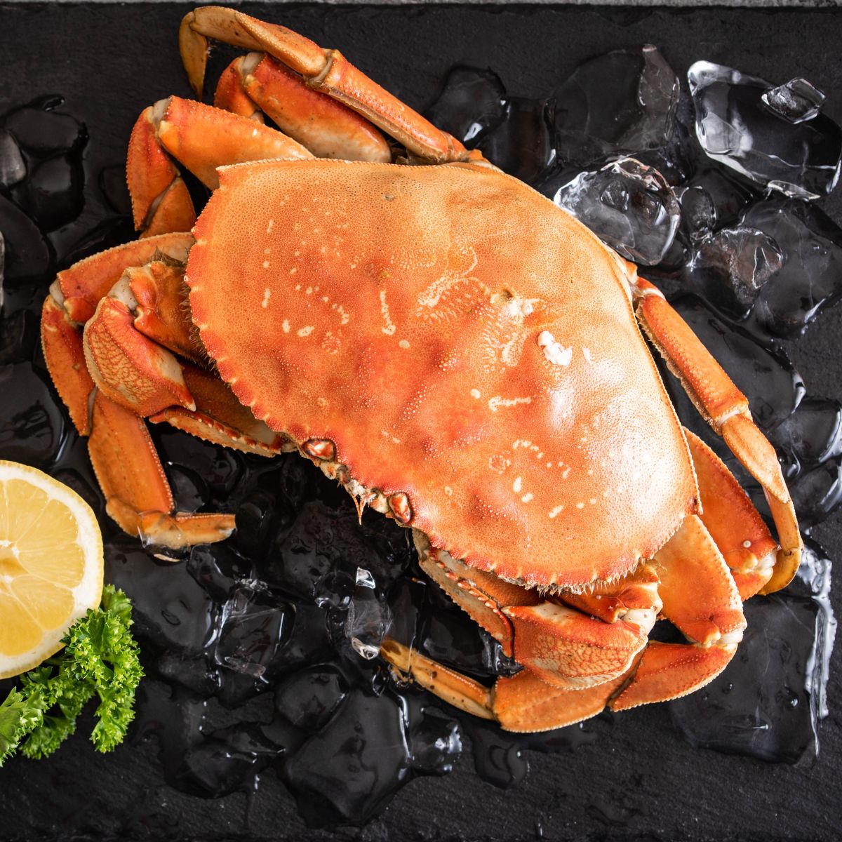 Live Frozen Dungeness Crab