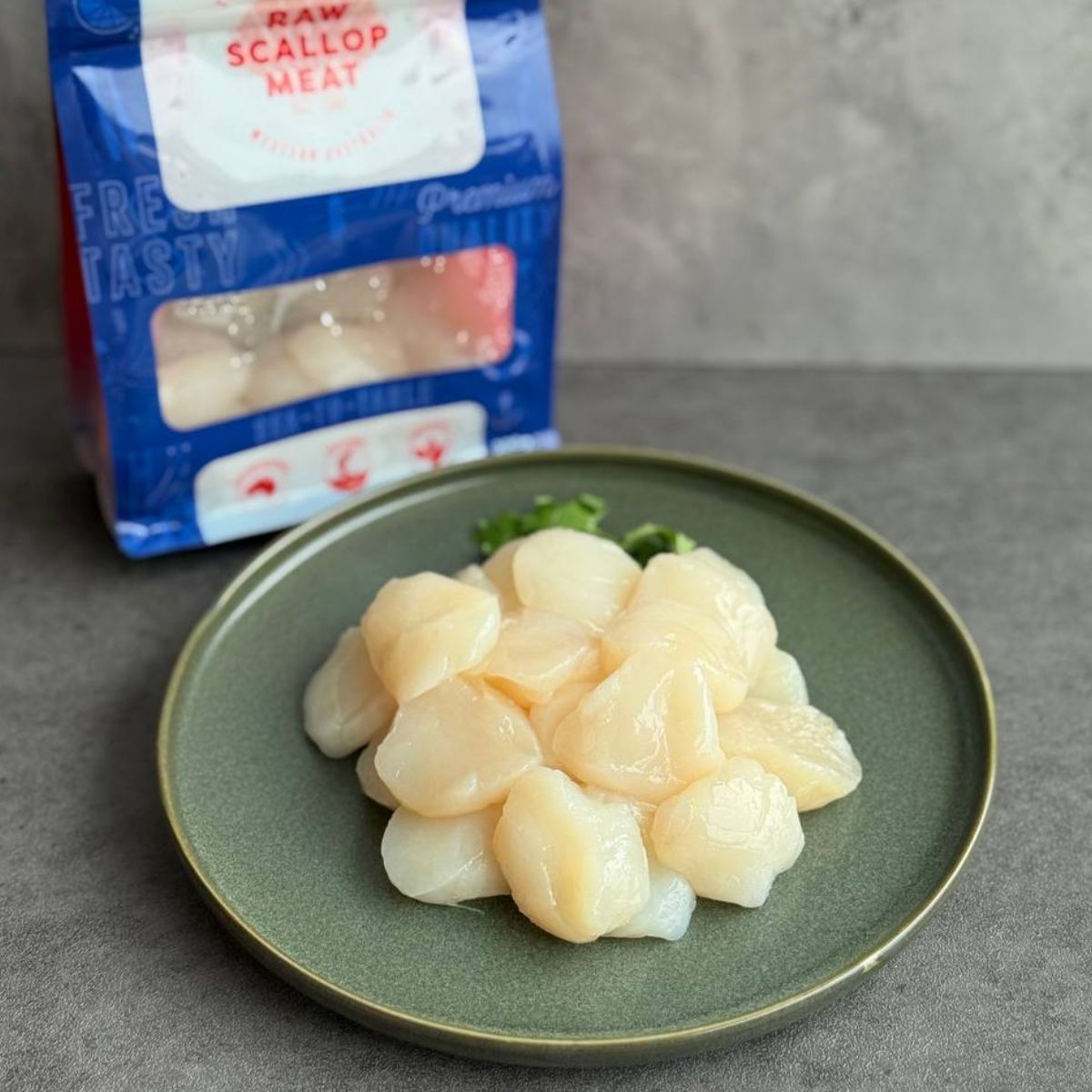 Australia Wild Caught Scallop Meat