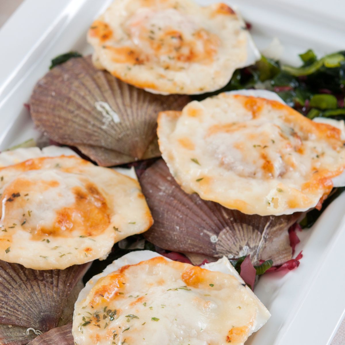 1/2 Shell Scallop With Cheese