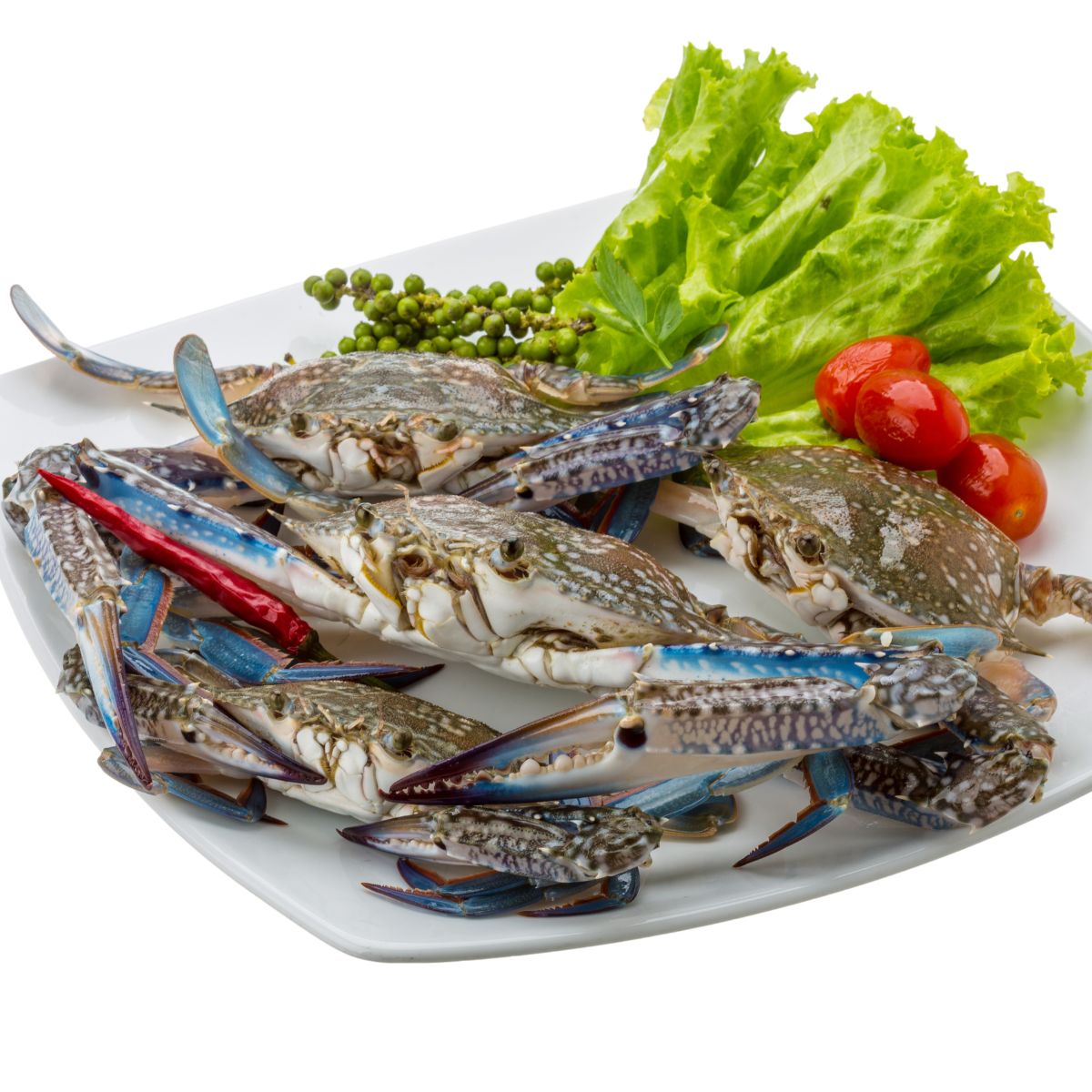 Frozen Blue Swimming Crab