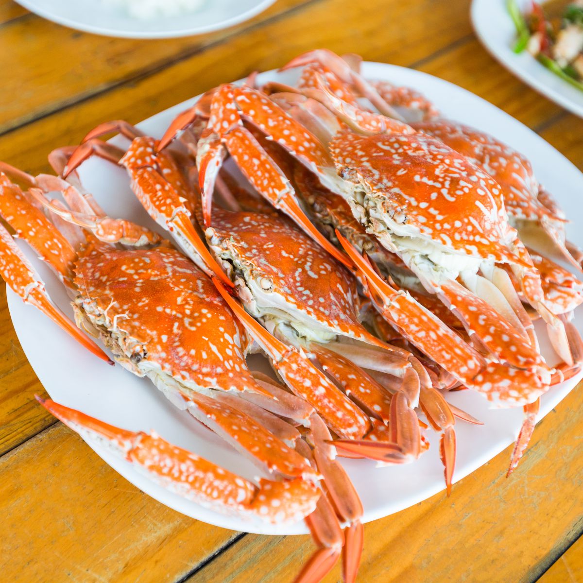 Frozen Blue Swimming Crab