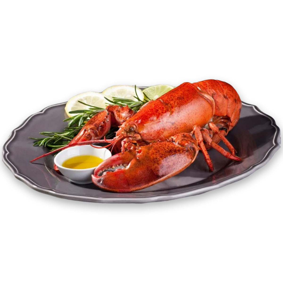 Live Frozen Boston Lobster