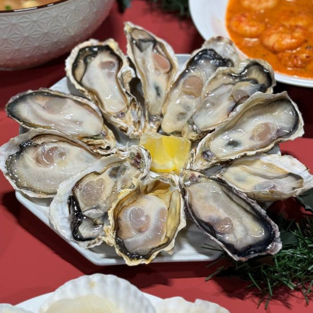 sashimi grade japanese oysters