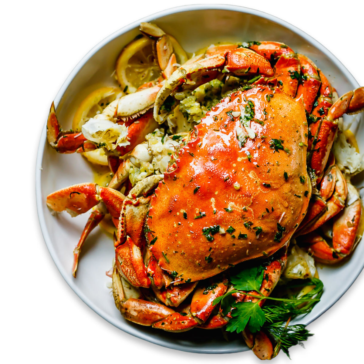 Live Dungeness Crab