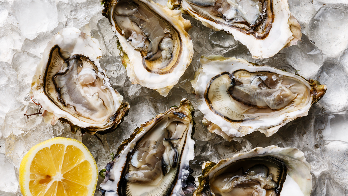 buy live oysters sg, buy live oysters