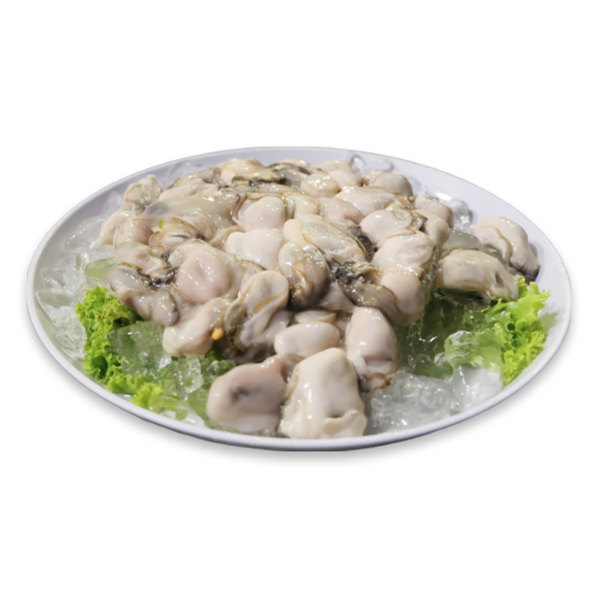Frozen Oyster Meat