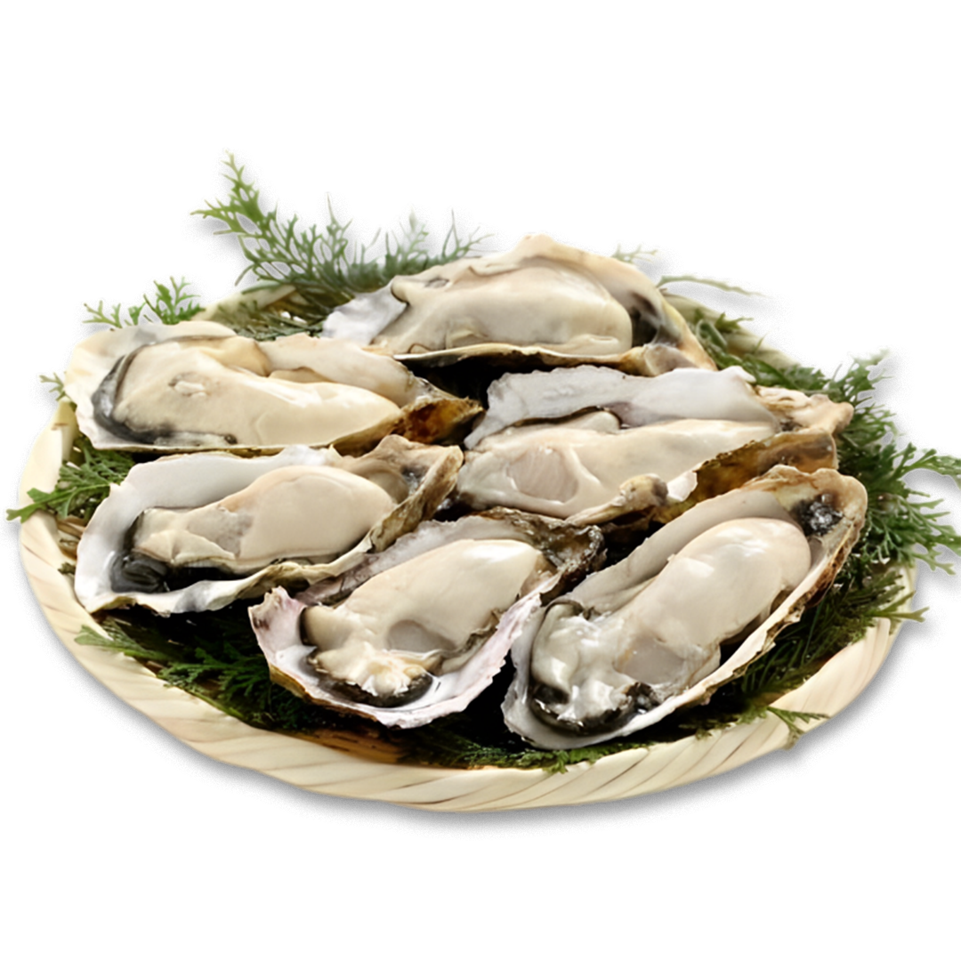 Frozen Japan Whole Miyagi Large Oyster (100-120g) - 12pcs