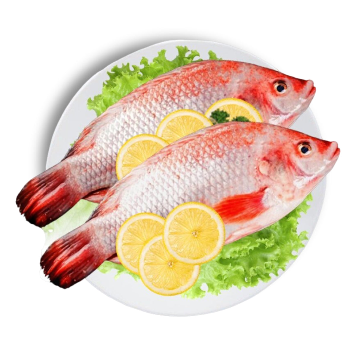 Live The Straits Fish®