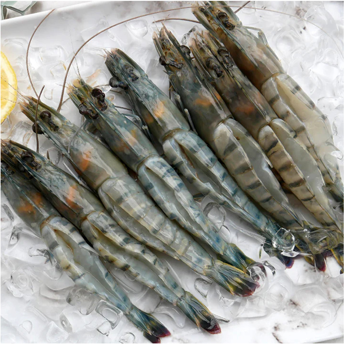 Tiger Prawns - Head On Shell On Butterfly Cut (16-20pcs)