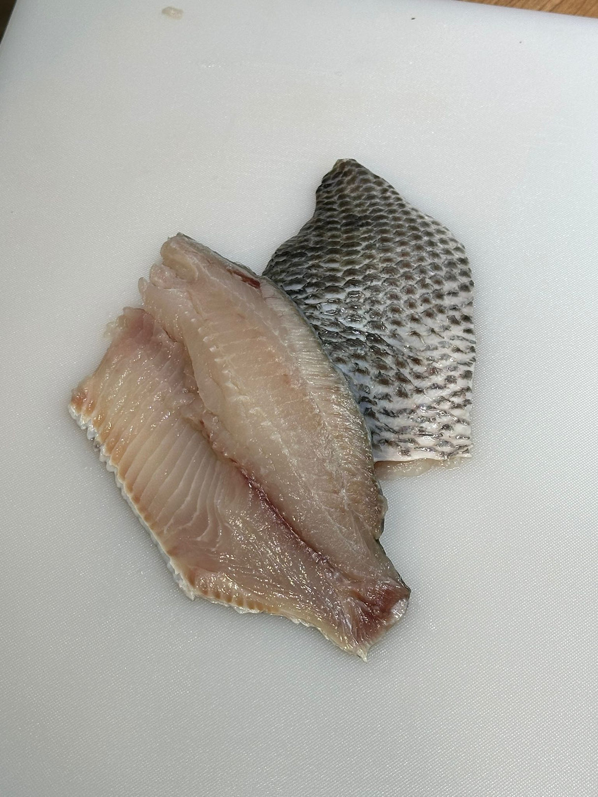 Live The Straits Fish®