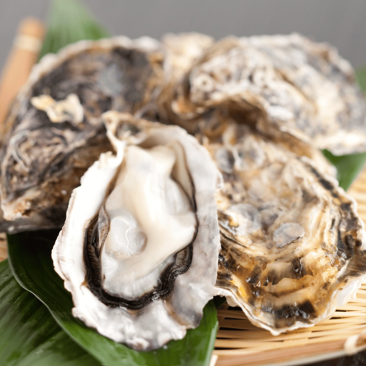 Frozen Oyster Grandeur Box - 60pcs (80g-100g per pc)