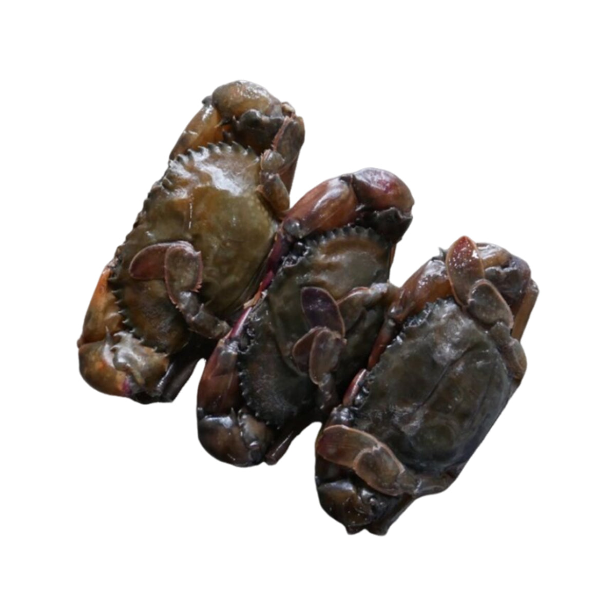 Frozen Whole Clean Soft Shell Crab