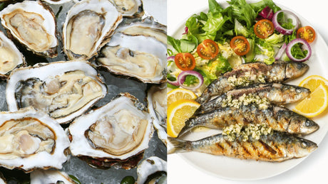 Oysters vs Sardines: Which is the Better Seafood Choice?