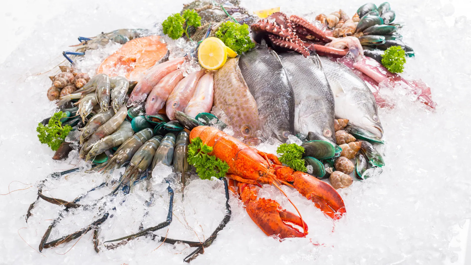 How Does Seafood Potassium Content Impact Your Health? A Comprehensive Answer