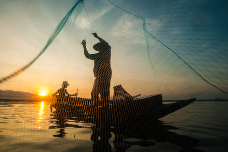 How Sustainable Seafood Choices Impact Our Oceans