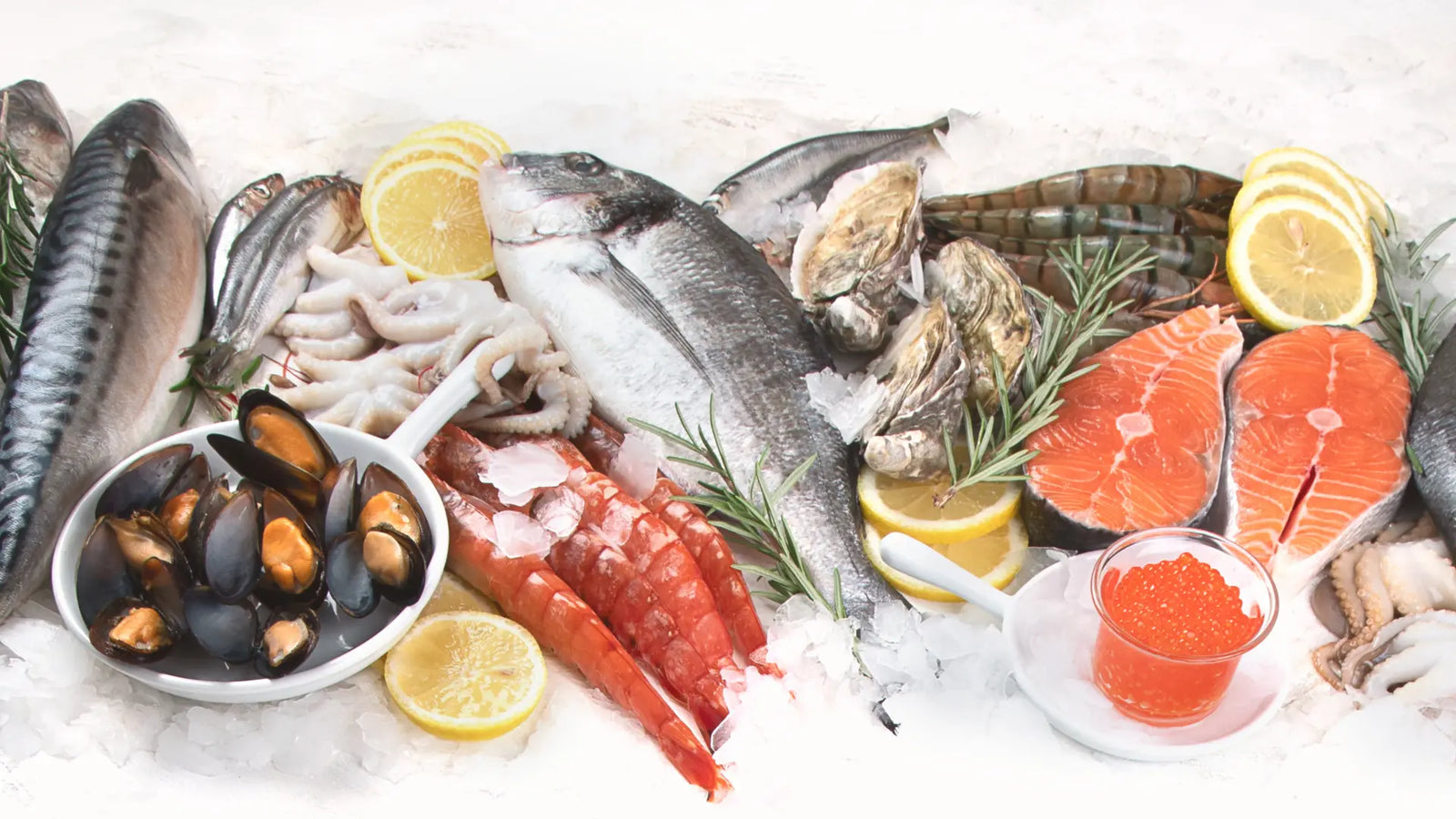 Your Complete Guide to Storing and Preparing Frozen Seafood – Seaco Online