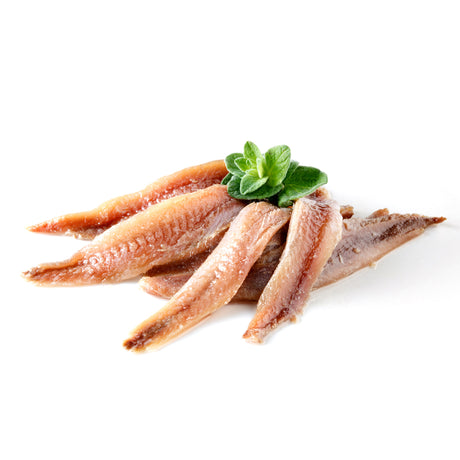 Anchovy Fish