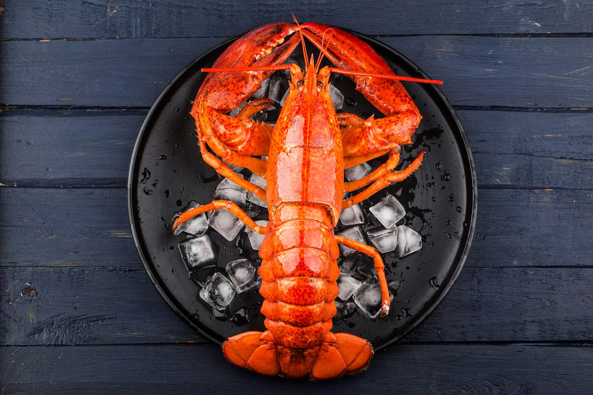 > Buy Boston Lobster Online in Singapore – Seaco Online