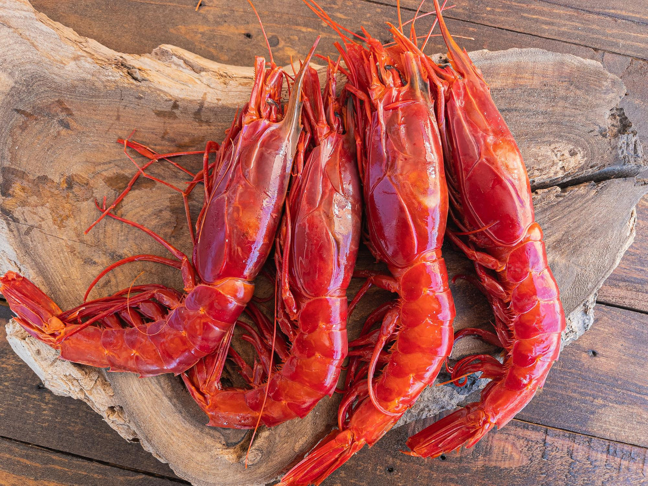 Carabinero Red Prawn