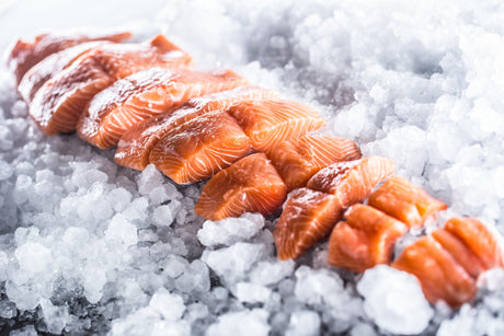 Frozen Fish