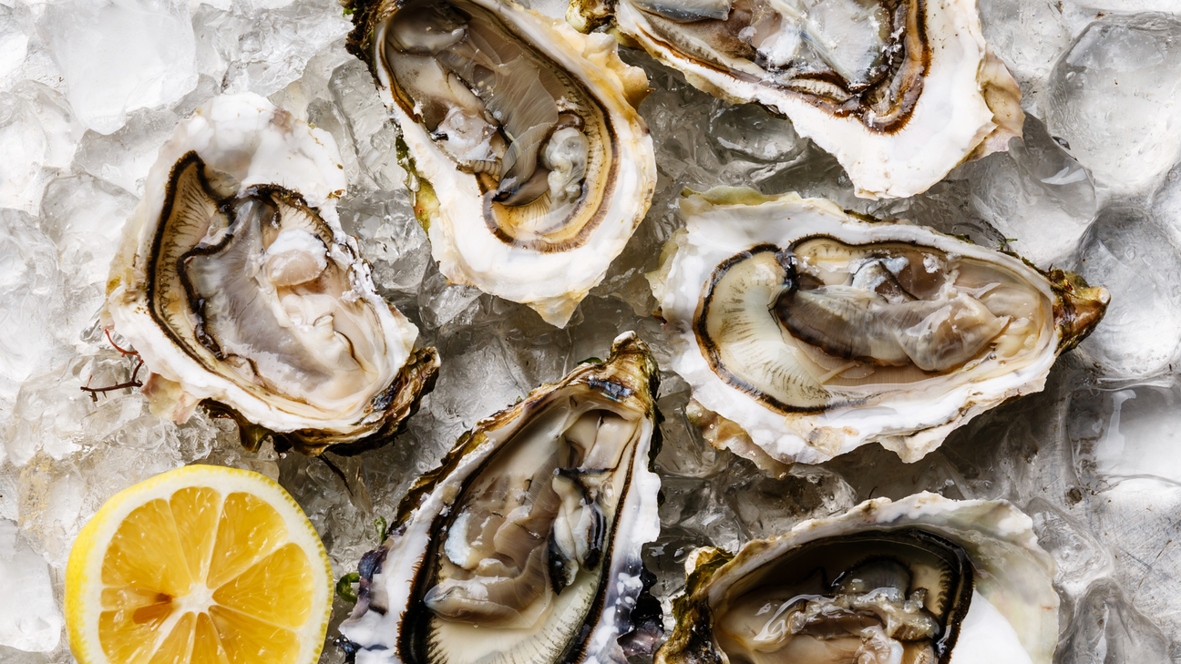 Live Oysters