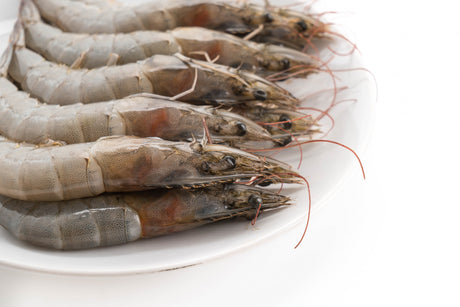 Live Prawns