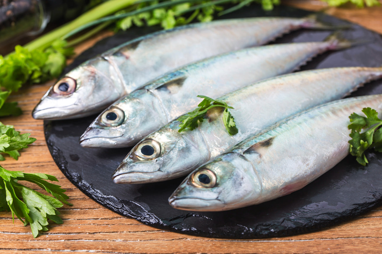 Mackerel Fish