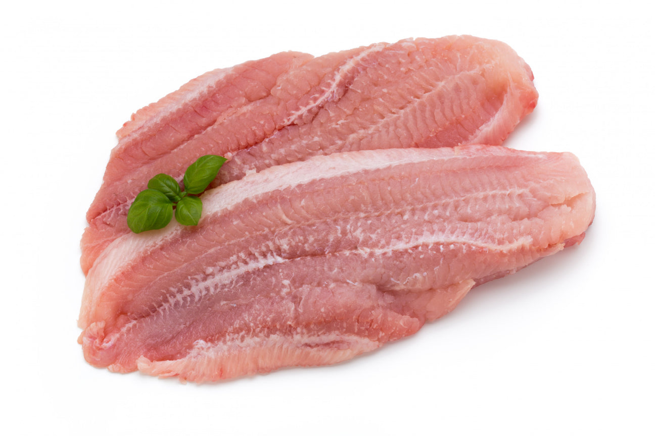 Pangasius Fish