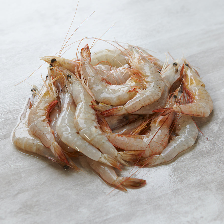 Prawns