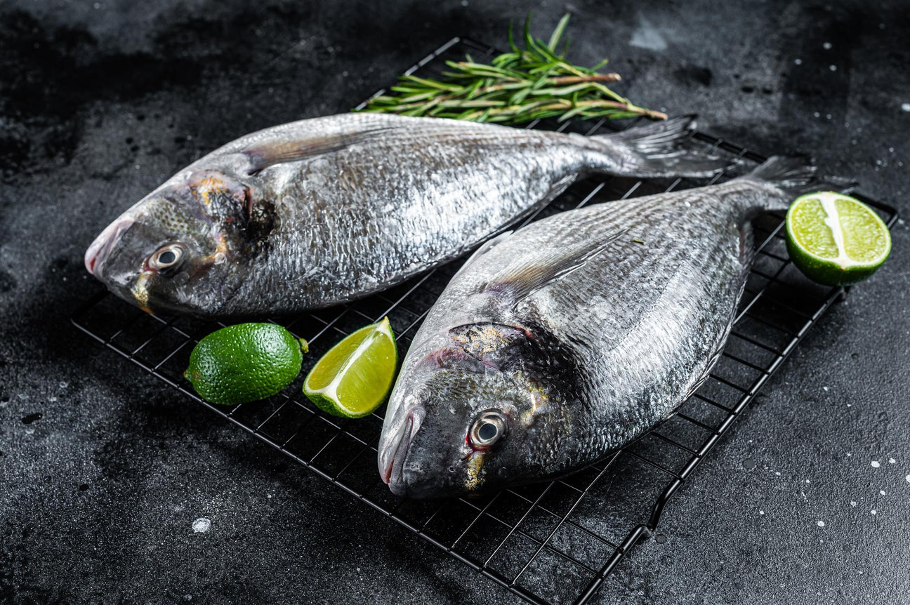 Sea Bream Fish