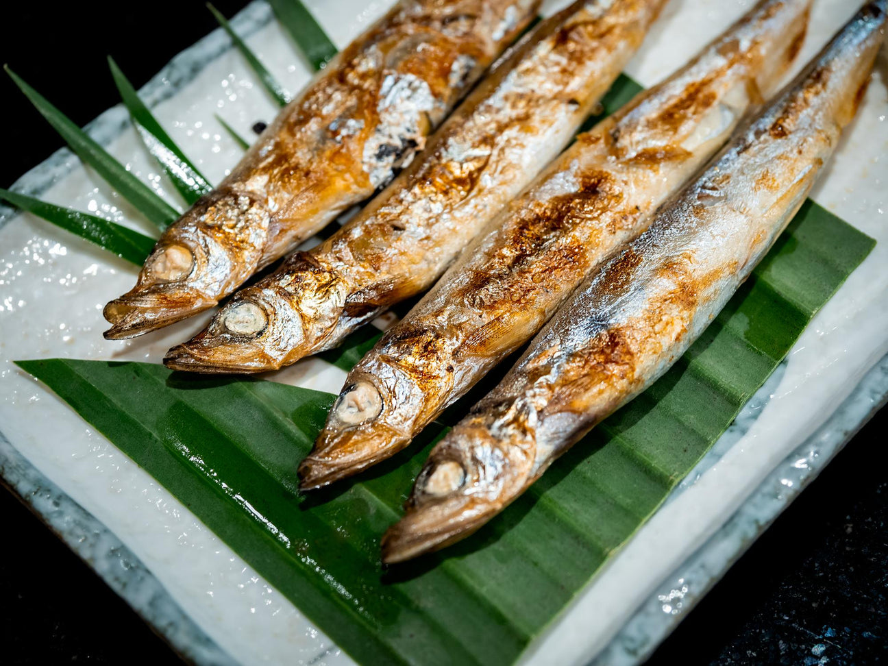 Shishamo Fish