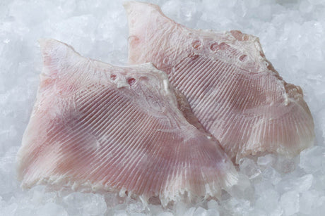 Skate Fish