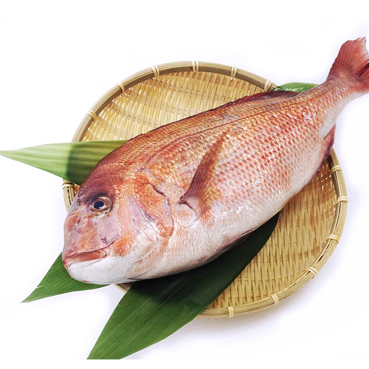 Tai Fish