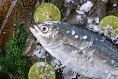 Trevally Fish