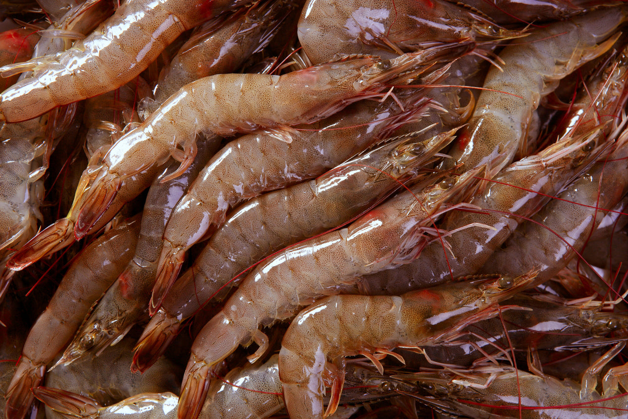 Vannamei Prawn