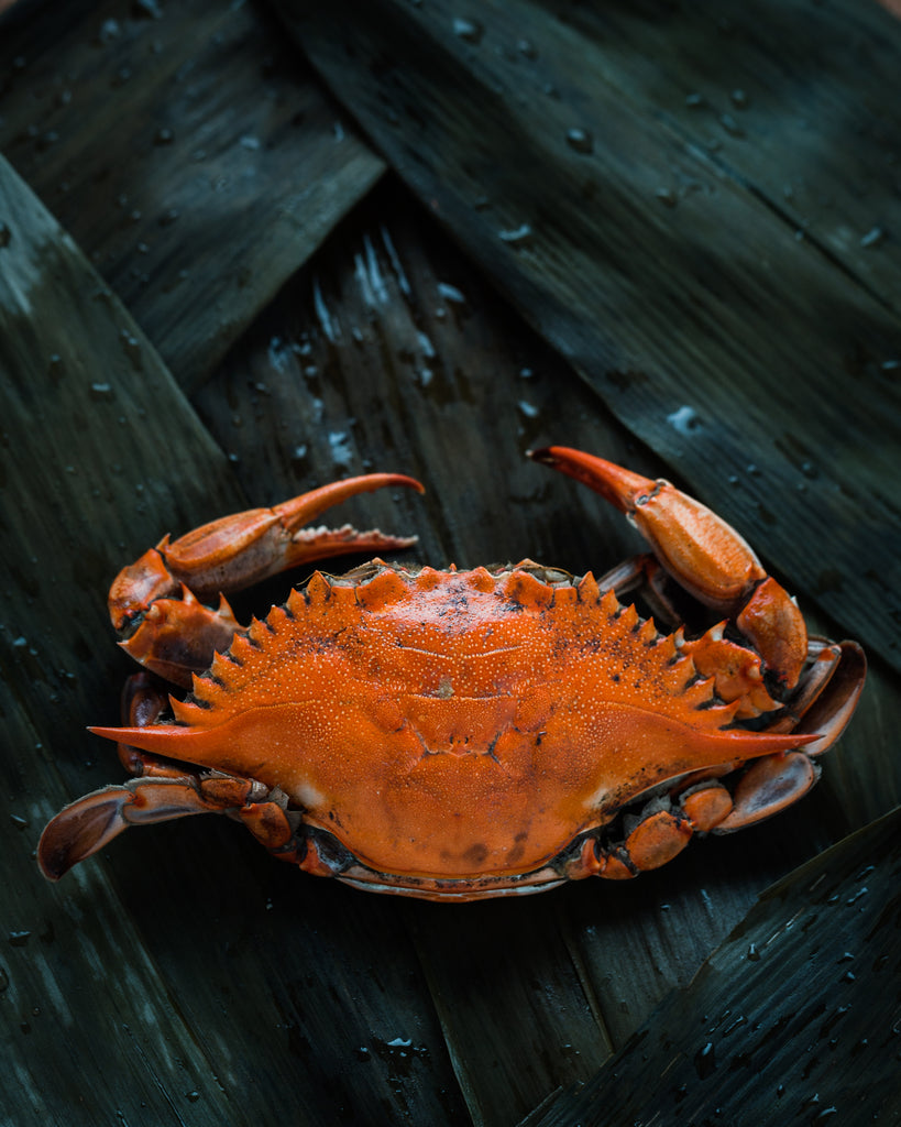 Hokkaido Crab