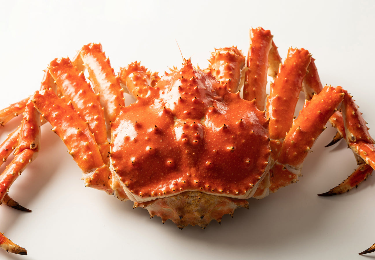 Red King Crab