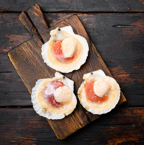 Frozen Scallops