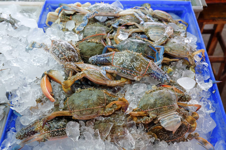 Frozen Crab