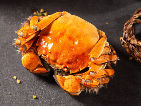 Chinese Mitten Crab