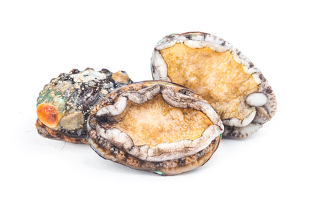 Abalone