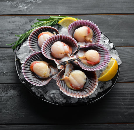 Scallops