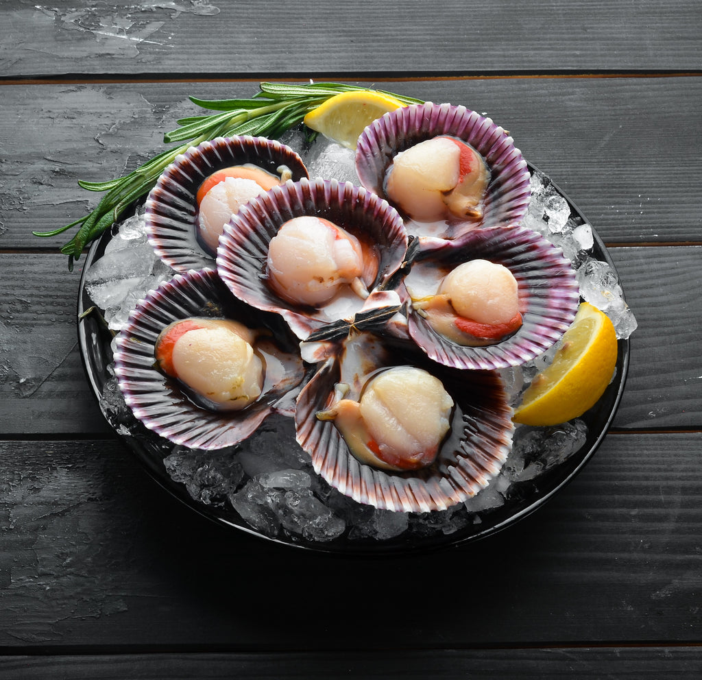 Buy Scallops Online in Singapore – Seaco Online