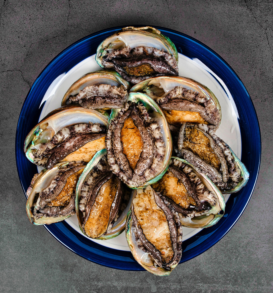South African Abalone