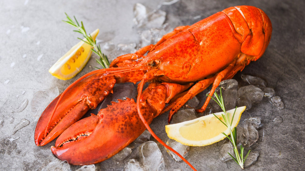 Buy Lobster Online in Singapore – Seaco Online